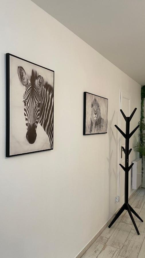 סנט-איגנן Tous'O'Zoo, Au Coeur Du Centre-Ville מראה חיצוני תמונה